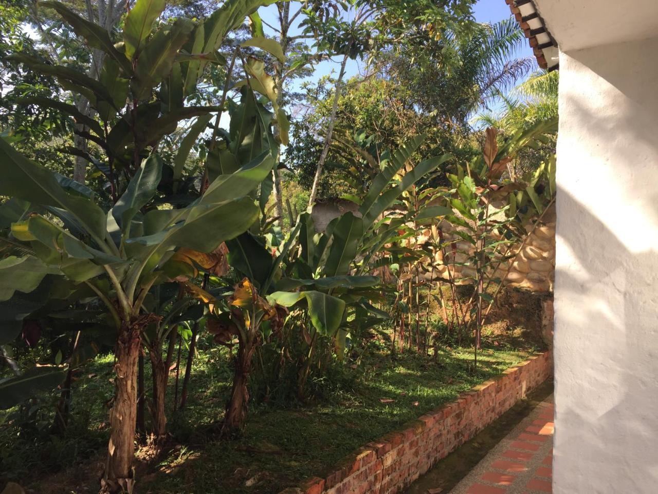 Hotel Casona Las Juanas San Jose de Pare Екстер'єр фото