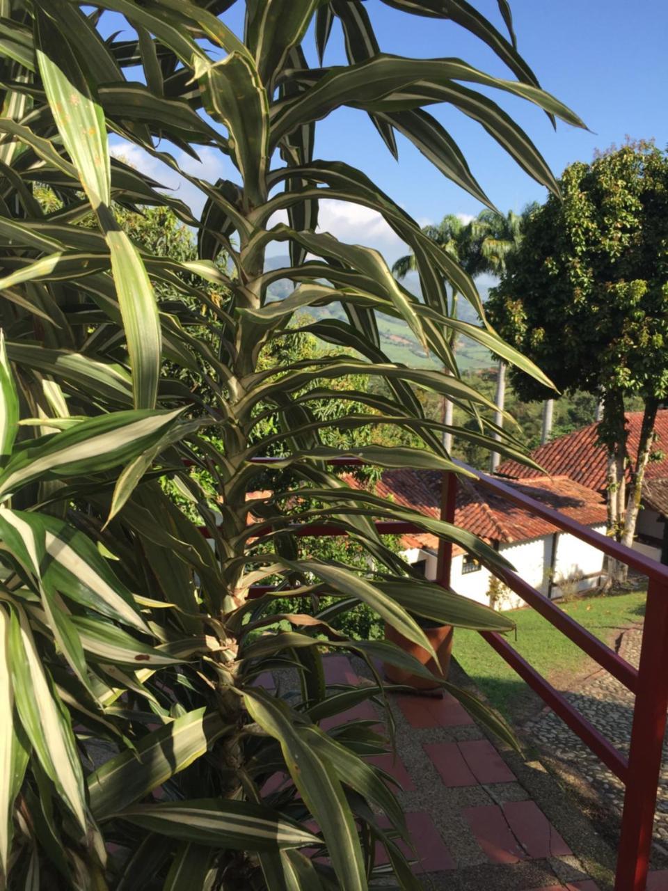 Hotel Casona Las Juanas San Jose de Pare Екстер'єр фото
