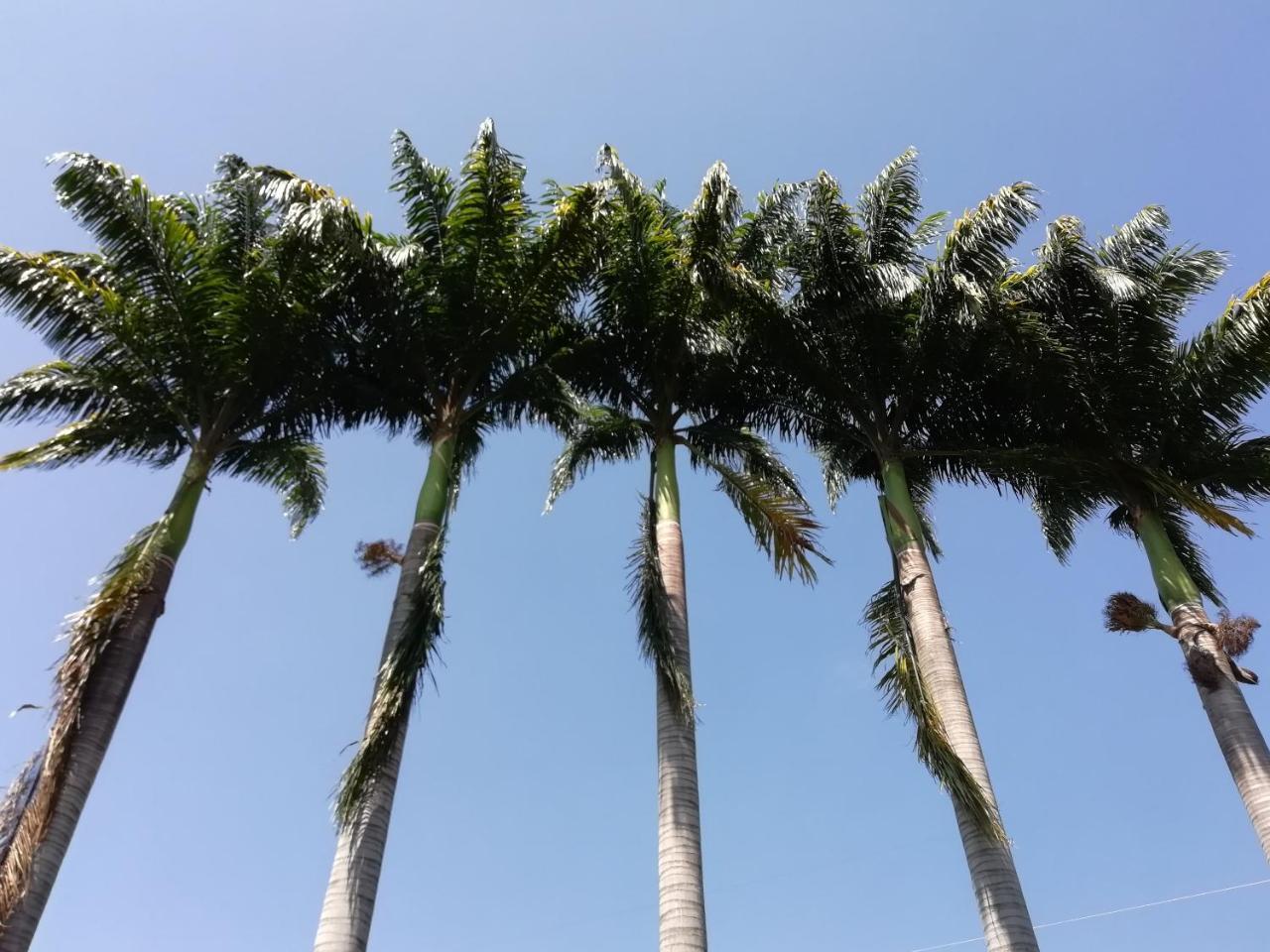 Hotel Casona Las Juanas San Jose de Pare Екстер'єр фото